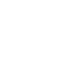 Github icon